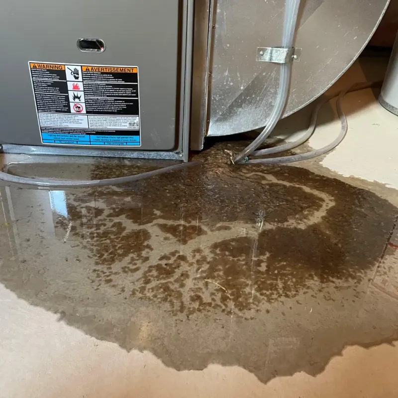 Appliance Leak Cleanup in Nash, TX