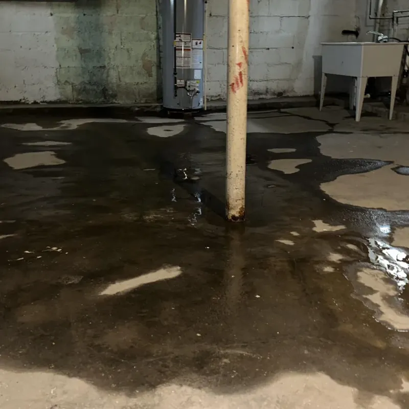 Emergency Water Extraction And Removal in Nash, TX